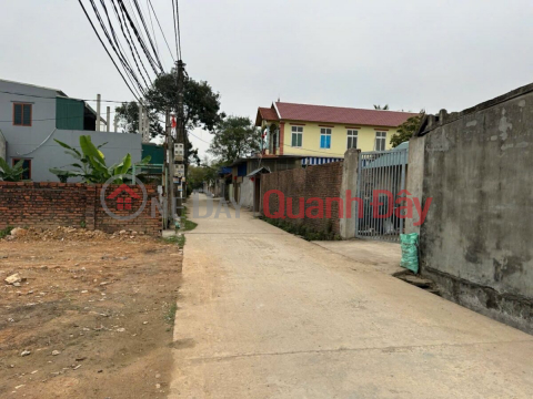 OWNER SELLS 80M2 LAND LOT IN PHU NGHIA INDUSTRIAL PARK - CHUONG MY - HANOI _0