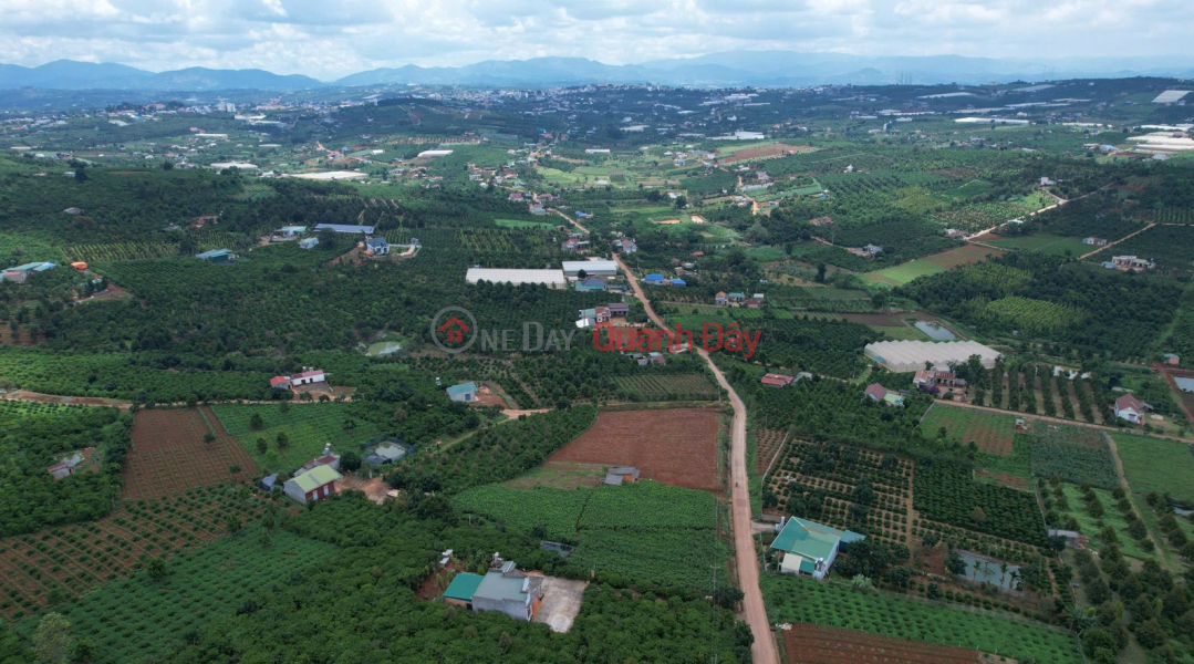 Chính chủ ra nhanh giá tốt 4 lô đất Tân Hà, Lâm Hà - Mỗi lô hơn 500m2 - Chỉ 1,099 tỷ 1 lô, Việt Nam Bán đ 1,1 tỷ