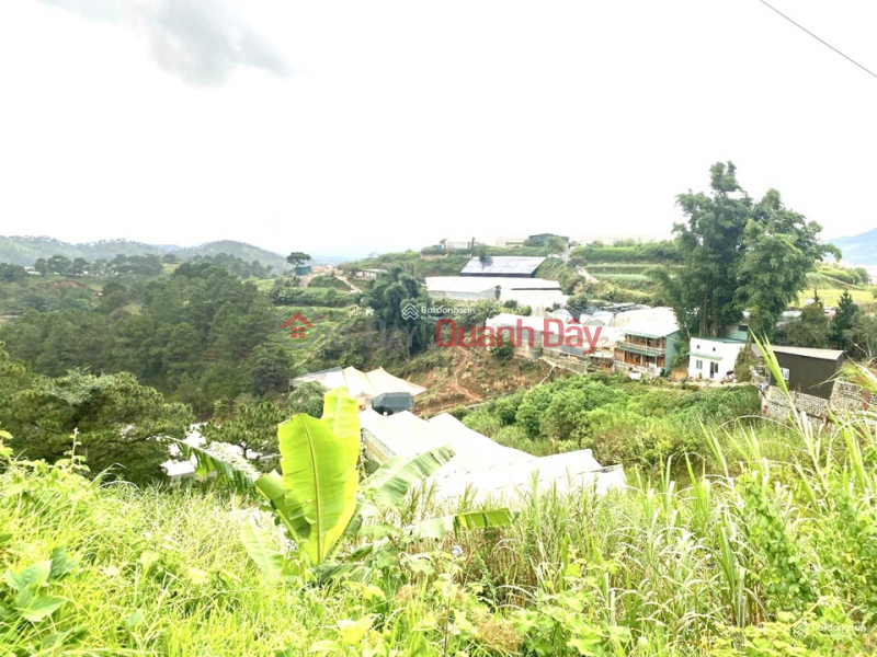 OWNER NEEDS TO SELL LAND LOT URGENTLY - GOOD PRICE At Nguyen Hoang Street, Ward 7, Da Lat, Lam Dong Vietnam Sales, ₫ 16.8 Billion