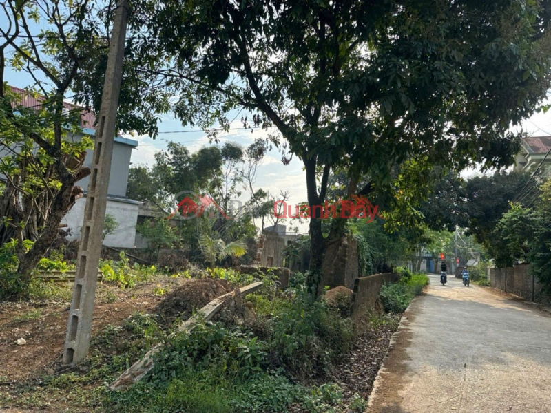 Property Search Vietnam | OneDay | Residential, Sales Listings, OWNER SELLS 3 LOTS OF LAND IN TAN TIEN-CHUONG MY-HANOI