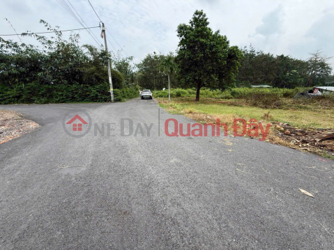 Residential land for sale, corner, 2 frontages, asphalt road No. 723, 10m wide _0