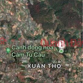 BEAUTIFUL LAND - GOOD PRICE - Land Lot For Sale Prime Location In Da Lat City, Lam Dong _0