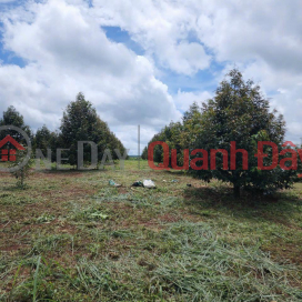 BEAUTIFUL LAND - GOOD PRICE For Quick Sale Land Lot Nice Location In Duc Manh Commune, Dakmil, Dak Nong _0