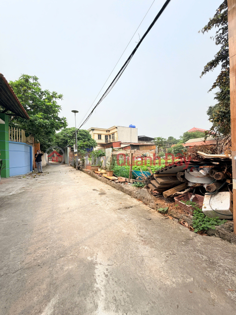 WITH ONLY 2 BILLION VND, YOU CAN OWN 59M² OF LAND IN VONG XUYEN - PHUC THO - HANOI. _0