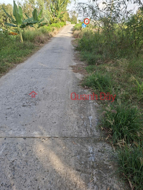 PRIME LAND - GREAT PRICE - DIRECT OWNER Selling Land with Frontage in Tuyen Thanh Commune, Tay Ninh _0