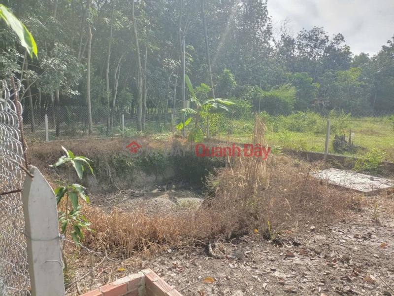 đ 1.18 Billion, HOTT HOTT - Owner Needs to Quickly Sell Beautiful Land Plot in Hoa Loi - Ben Cat - Binh Duong