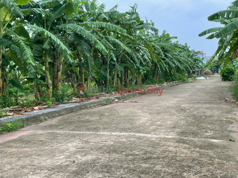 OWNER'S LAND - FRONTAGE - 100% RESIDENTIAL LAND Xuan Cuoc Village, Tra Giang Commune, Hung Yen | Vietnam | Sales đ 750 Million