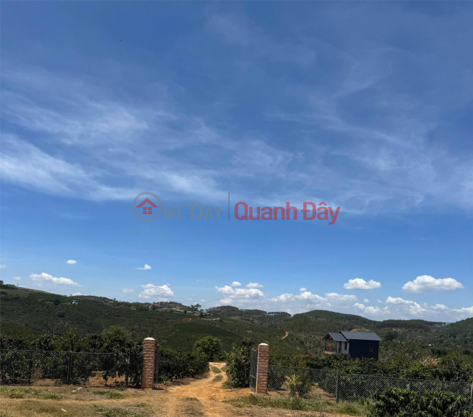 Property Search Vietnam | OneDay | Residential Sales Listings, Beautiful Land - Good Price - Owner Needs to Sell a Lot of Land in a Beautiful Location in Ninh Gia, Duc Trong, Lam Dong