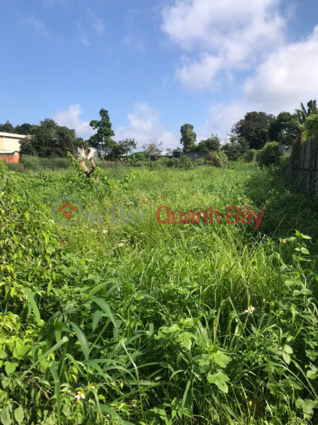 đ 3 Billion OWNER'S LAND - 2 CONNECTING LOTS FOR SALE - Phuoc Binh Ward, Dong Nai Province
