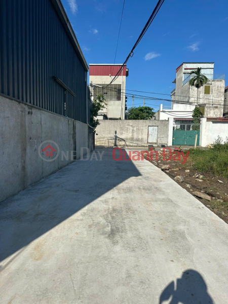 Property Search Vietnam | OneDay | Residential Sales Listings, LAND FOR SALE NEAR QUY KIM MARKET - PRICE ONLY 1.X BILLION, QUICK LIQUIDITY ZALO 0567 222 555