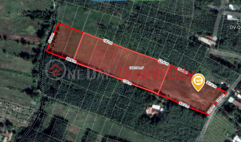 (D) Land on the street frontage, Phu My Hung commune, Cu Chi, price 50 billion x billion _0