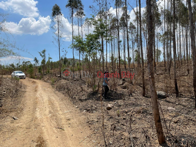 CHÍNH CHỦ CẦN BÁN LÔ ĐẤT – GIÁ RẺ Tại Hàm Thuận Nam, Bình Thuận | Việt Nam | Bán đ 3,5 tỷ