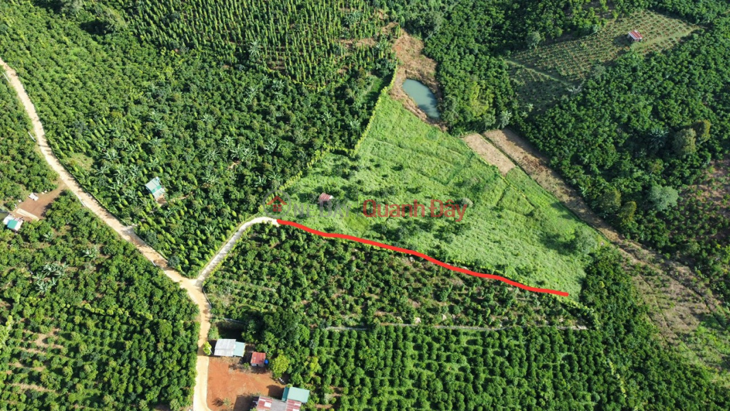 Owner Quickly Sells 6389m2 Orchard Land Lot, Loc An Commune, Bao Lam District, Lam Dong | Vietnam, Sales đ 5.2 Billion