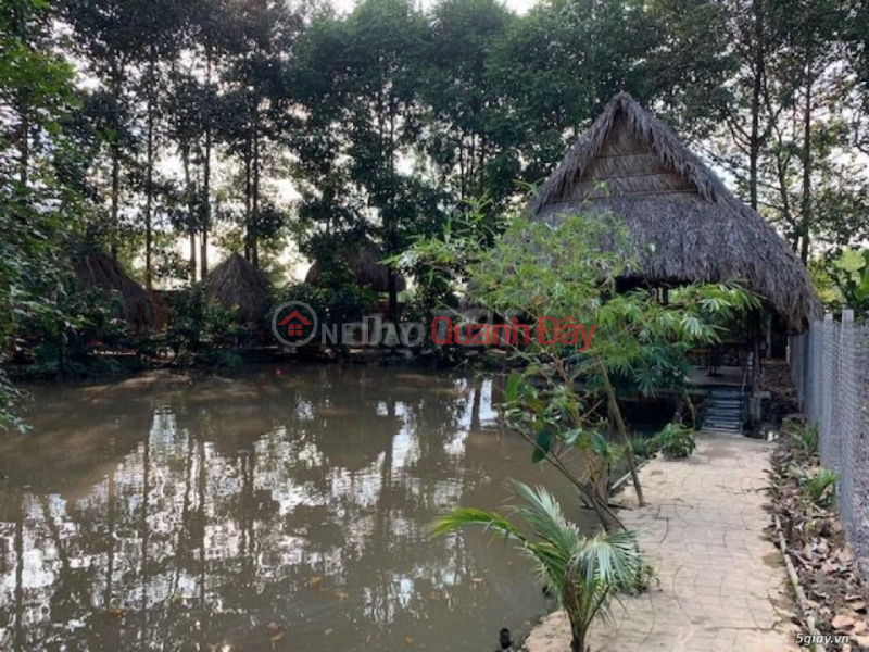 đ 19 Billion | BEAUTIFUL LAND - GOOD PRICE - Quick Sale Beautiful Land Lot Location In Binh Duong Province