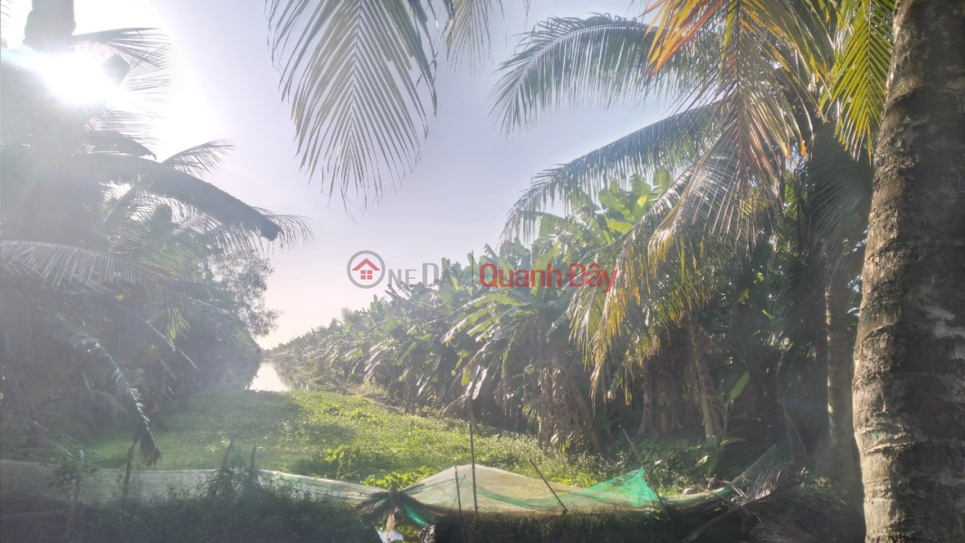 ₫ 2.5 Billion | BEAUTIFUL LAND - GOOD PRICE - Owner Quickly Sells Land Lot in Nice Location In An Minh Bac - U Minh Thuong - Kien Giang