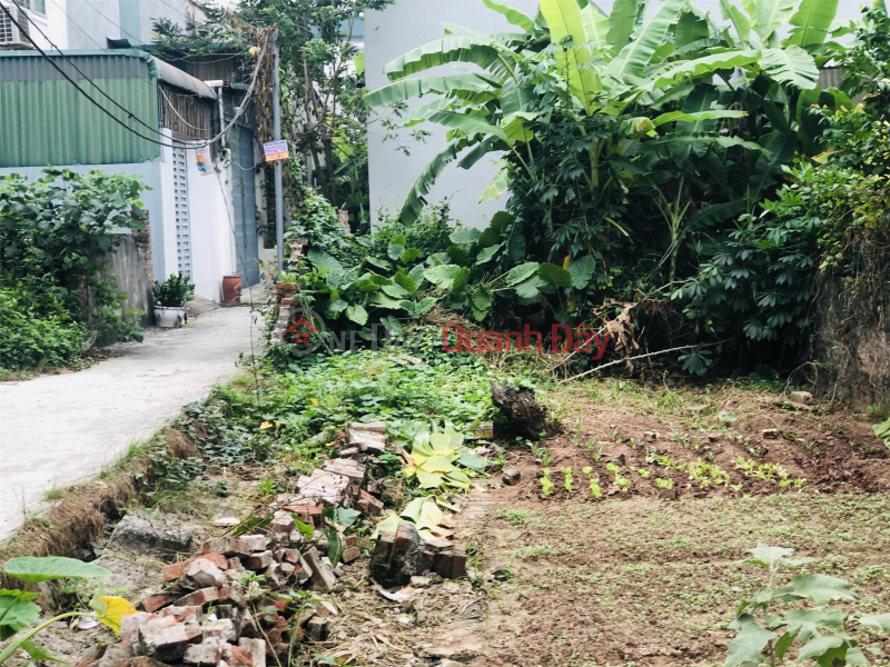 Selling 59m2 of land in Phung Chau, corner lot with 5m road access, price 1.25 billion Sales Listings