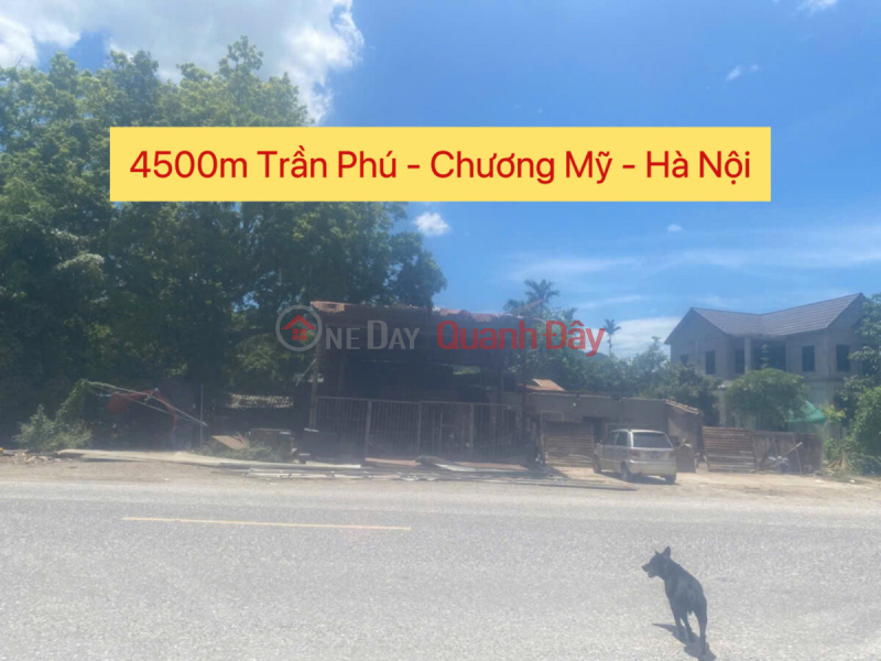 CHÍNH CHỦ CẦN BÁN LÔ ĐẤT 4500M TẠI MẶT ĐƯỜNG HỒ CHÍ MINH-TRẦN PHÚ-CHƯƠNG MỸ-HÀ NỘI Niêm yết bán