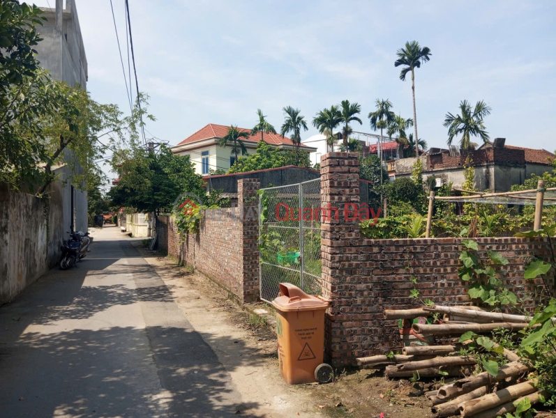 Bán đất Thuận Thành, Bắc Ninh. 100m2 * mt 5m * 3,25 tỷ. ô tô thông, vào đất., Việt Nam Bán đ 3,25 tỷ