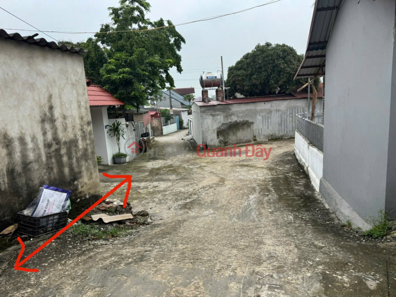 Land for sale in Xuan Le village, Tan Dan, Soc Son. Road is clear, car can park at the door. Price for workers and students., Vietnam | Sales, đ 1.85 Billion