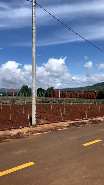 Property Search Vietnam | OneDay | Residential Sales Listings, Quickly sell 3 residential plots in Hiep Thanh, Lien Nghia, Duc Trong - price under 1 billion