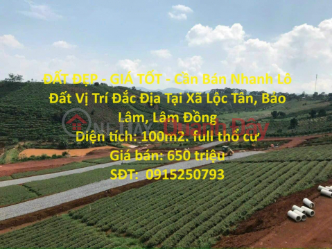 BEAUTIFUL LAND - GOOD PRICE - For Quick Sale Land Lot Prime Location In Loc Tan Commune, Bao Lam, Lam Dong _0