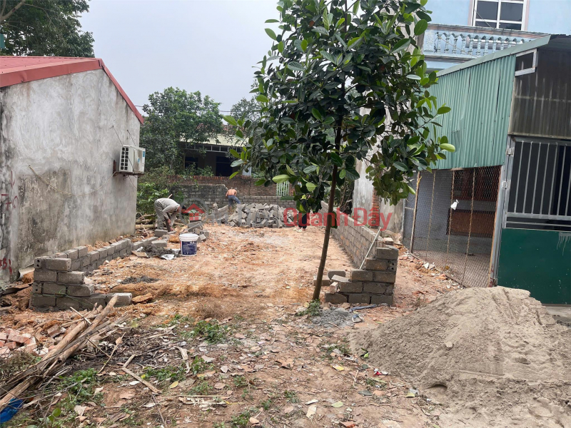 Chính Chủ Cần Bán Ô Đất Full Thổ Cư Xã Trạch Mỹ Lộc, Huyện Phúc Thọ, tp Hà Nội, Việt Nam Bán, đ 1,93 tỷ