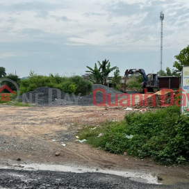 Need to quickly rent a beautiful plot of land in Binh Chanh district, HCMC _0