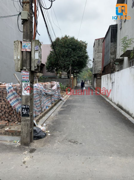 Property Search Vietnam | OneDay | Residential | Sales Listings, Need money to sell corner lot 58.5m2 group 40 Dong Anh Town - Hanoi, road 6m. Contact 0981568317