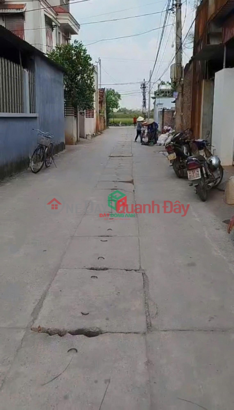 LAND FOR SALE IN ANCIENT TEMPLE - THUY LAM - DONG ANH, 2 FACING ALLEYS, CARS CAN SLEEP IN THE LAND _0