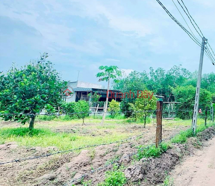 Property Search Vietnam | OneDay | | Sales Listings Cheap Chon Thanh Land for Sale, Area 10x50, loss of 200 million, separate pink book