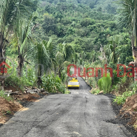 CHÍNH CHỦ CẦN BÁN NHANH Hơn 2 Ha View Đồi Suối Lớn Tại Cưjut-Đaknong. _0