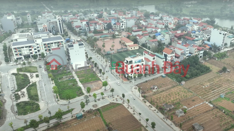 Selling business land, corner lot 88.7m, Auction Dao Uy No Dong Anh Garden. _0