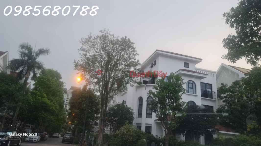 Property Search Vietnam | OneDay | Residential | Sales Listings | CIPUTRA VILLA FOR SALE, 230M2, 30M STREET, SOCCER PAVEMENT, PRICE 62 BILLION