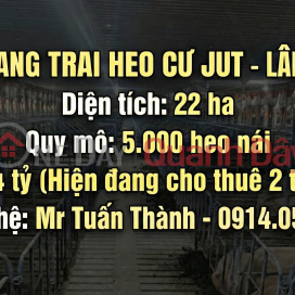 Trại Heo 22ha Lãi Ngay 2 Tỷ/Tháng (849-2907002180)_0