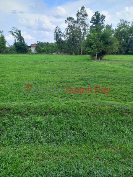 OWNER Needs to Quickly Sell 2 Lots of Land in Nice Location on An Son Street, An Ninh Tay, Duc Hoa, Long An Vietnam Sales | đ 5.04 Billion