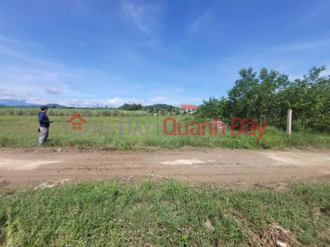 RESIDENTIAL LAND FOR SALE - LOW PRICE OWNER LAND IN DIEN TAN, DIEN KHANH _0