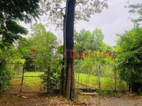 OWNER SELLING LAND IN HOA LAC, QUOC OAI, 116M², AT A T-junction, NEAR A MAIN BUS ROAD, CLOSE TO THE NEWLY UNDER CONSTRUCTION METRO 5. _0