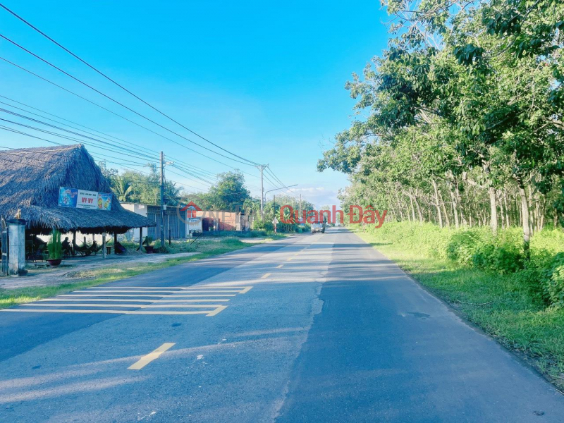 BEAUTIFUL LAND - LOW PRICE - For Quick Sale Land Lot Prime Location In Dau Tieng District, Binh Duong Province Sales Listings