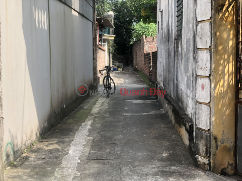 đ 1.5 Billion, Insolvent, need to urgently sell plot of land 47.1m2, Cho Sa village, Co Loa, Dong Anh, Hanoi, morning bus route, price only a few billion