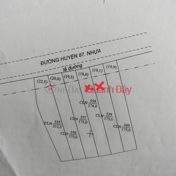 Owner Sells 2 Lots of Land on District Road 87, Lo Bun Street, Binh Phong, Tan My Chanh, My Tho Sales Listings