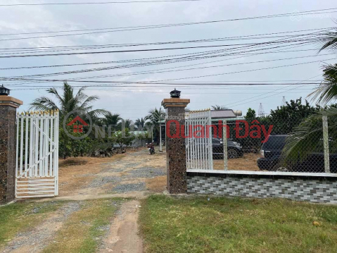 THE OWNER IS URGENTLY SELLING FARM LAND FRONT OF DT 781 ROAD _0