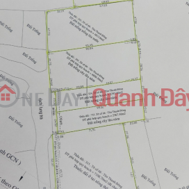 Large area land for sale - Tan Thanh Dong Commune - Residential land planning _0