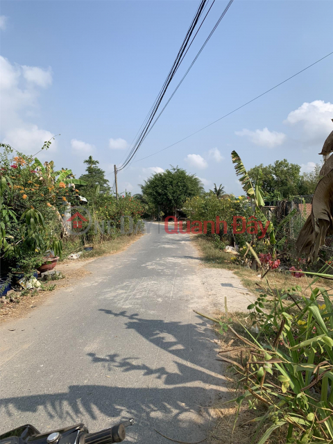 Beautiful Land - Good Price Owner Quickly Sells Land Plot At Vo Thi Thuoc Street, Trung Lap Ha Commune, Cu Chi, HCM _0