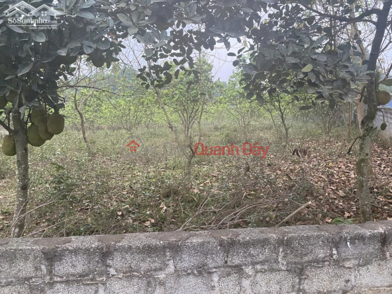 Property Search Vietnam | OneDay | Residential, Sales Listings, Land for sale in Cao Duong commune, Luong Son district, Hoa Binh