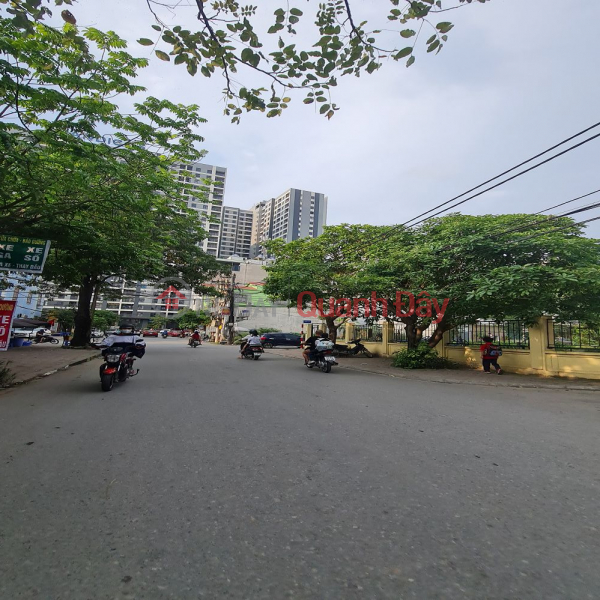 Right in the center of Trau Quy center, there is 56m2 of super nice car land. Contact 0989894845, Vietnam Sales đ 9.6 Billion