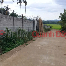 BÁN ĐẤT NHÀ VƯỜN EA KAO - Hơn 4500m2 - Có thổ cư - Hồ cá - View cánh đồng - Làm nhà vườn cực đẹp _0