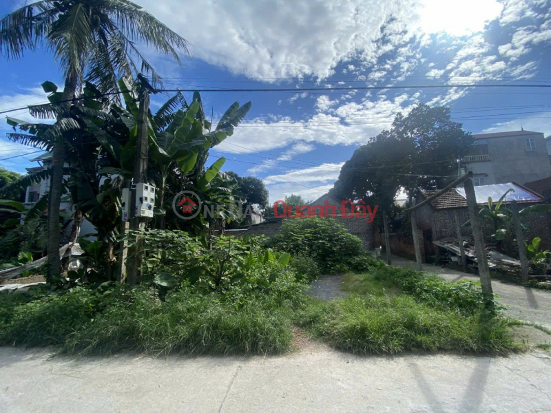 RARE SQUARE LOT FOR SALE ON 10M WIDE ROAD NEXT TO CHUC SON CENTER - CHUONG MY Sales Listings