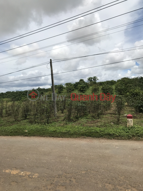 Land for sale on Highway 28B Duc Trong, Lam Dong, 10 x 50m, (200)m2 TC, _0