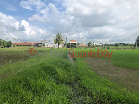 1 Ha Square Land SHR HXH – Duc Hoa Thuong Long An S _0