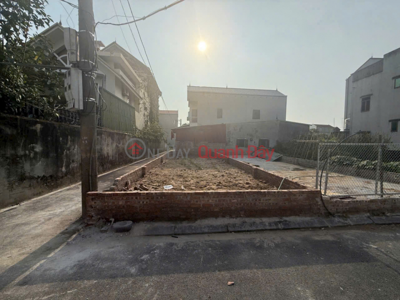 Property Search Vietnam | OneDay | Residential | Sales Listings, Land for sale in Dong Nguyen Khe village - 63.9m2 - Corner lot